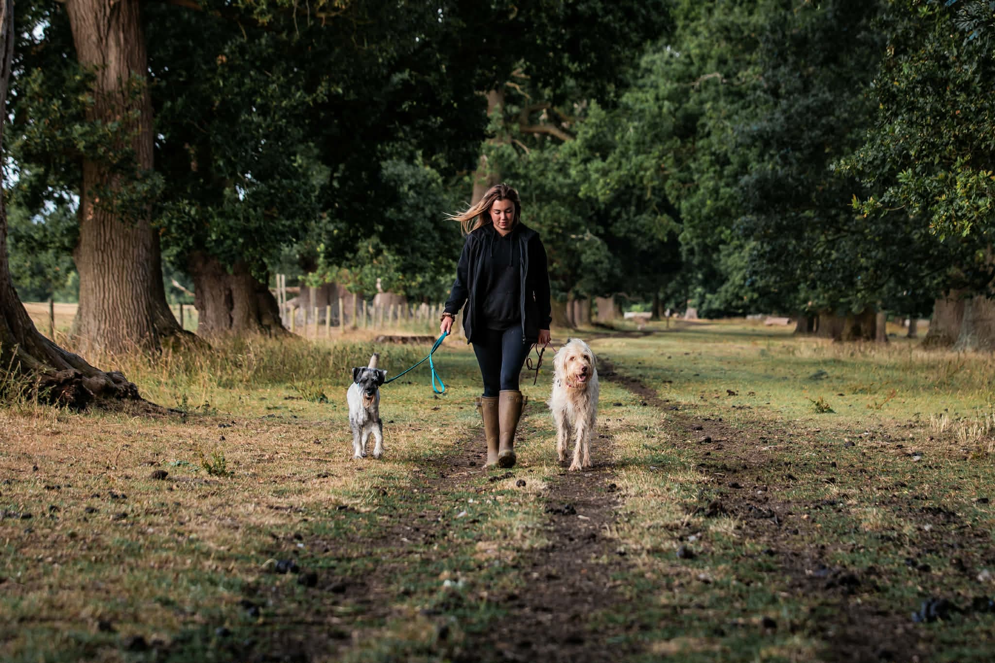 Ella walking her two dogs down a tree-lined track
