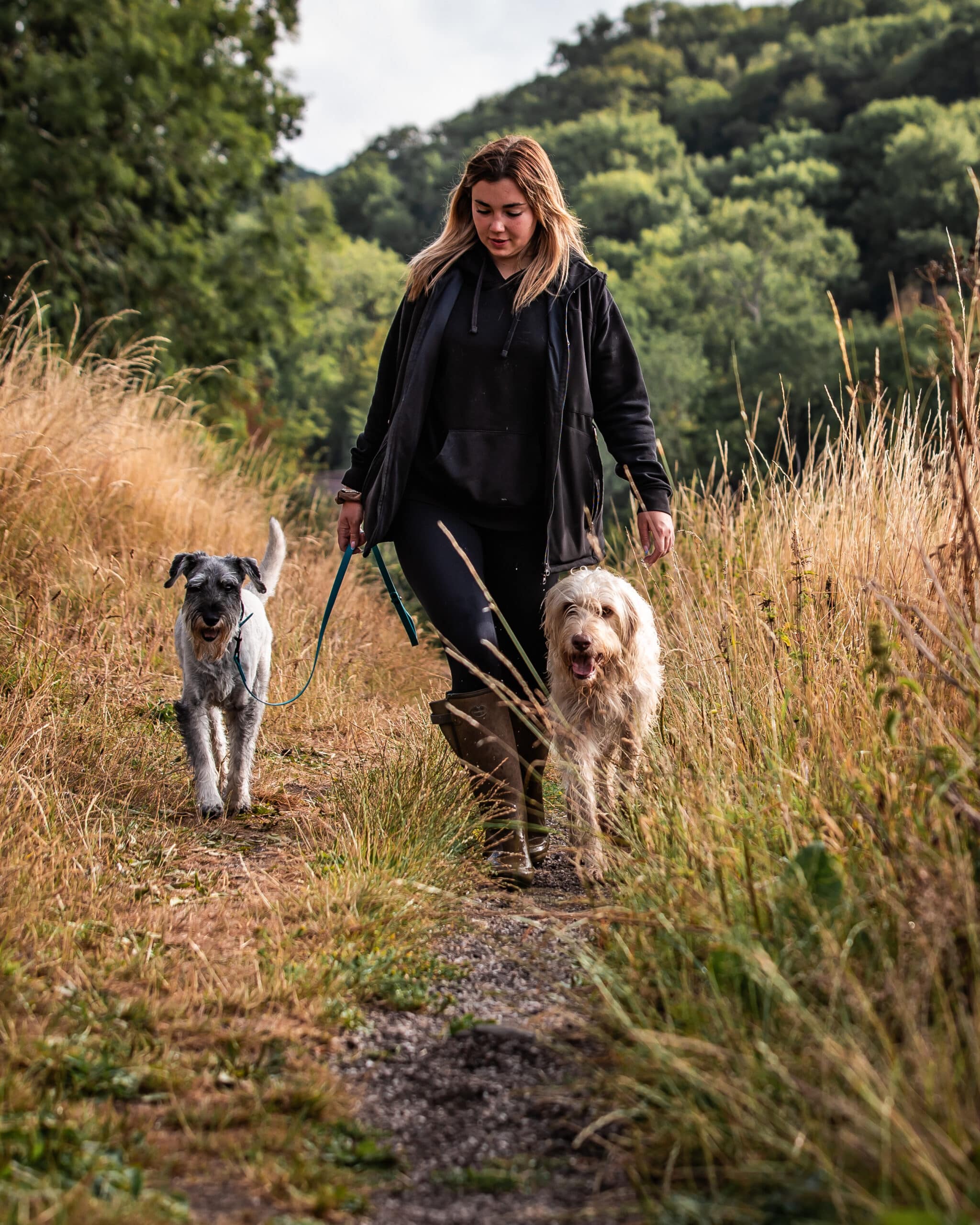 woman walking two dogs on a grassy path with trees in background