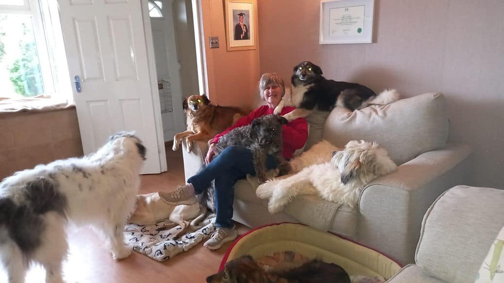 Kathy sitting on a sofa surrounded by her rescue dogs